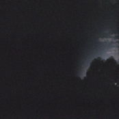 B O L T vs. Shipwrecks