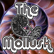 The Mollusk