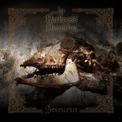 Senescence