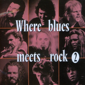 Where Blues Meets Rock  Vol. 2