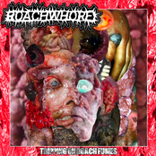 Tripping On Roach Fumes