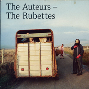 Get Wrecked At Home by The Auteurs