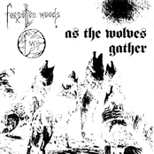 Når Ulvene Samles / Sjel Av Natten