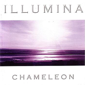 Night Chameleon by Illumina