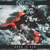 Born In Ash (feat. David Maxim Micic) - Single