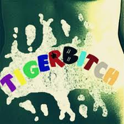 Tigerbitch