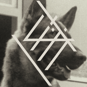 Everyday/Hinge & Bracket 7"