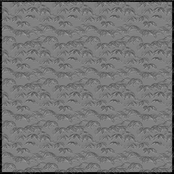 The Arpeggio's Feels