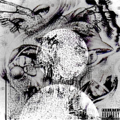 Cold Shoulders Early Mornings