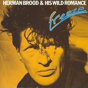 On Top Of You by Herman Brood & His Wild Romance