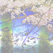 Out of Season Vol. 2