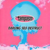 Darling Self Destruct cover