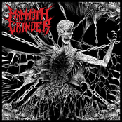 Mammoth Grinder: Split