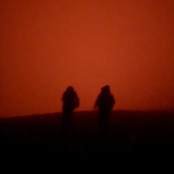 Losing Colours - Single