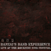 Live At The RockSide-2003 Festival