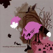 Standing Still You Move Forward