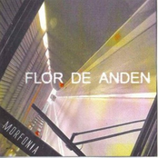Flor de anden