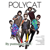 Polycat