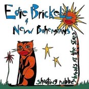 What I Am by Edie Brickell, New Bohemians