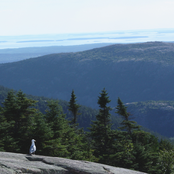 The Pain of Creation