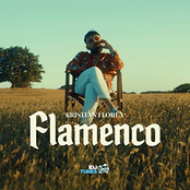 Flamenco