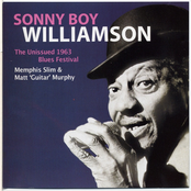 The Unissued 1963 Blues Festivals