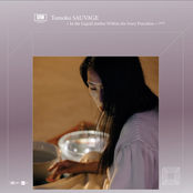 In the Liquid Amber Within the Ivory Porcelain