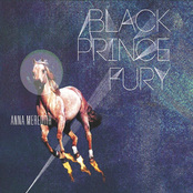 black prince fury