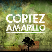 cortez amarillo