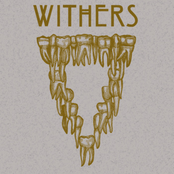 Hear the unsung. Speak the unspoken.