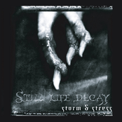 Storm & Stress