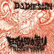 THE CURSE OF YONOYON