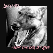 When The Dog Is Asleep