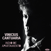 Vinicius Cantuaria: Indio De Apartamento