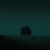 i hope this calms you down