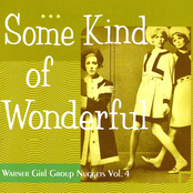 Some Kind Of Wonderful: Warner Girl Group Nuggets Vol. 4