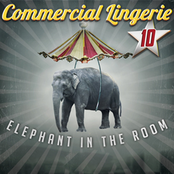 Commercial Lingerie 10: Elephant in the Room