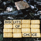 Biscuits Of Choice