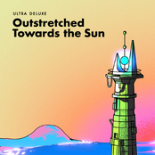 Outstretched Towards the Sun