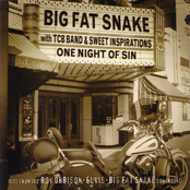 Always On My Mind by Big Fat Snake