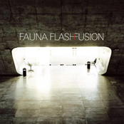 Percussion by Fauna Flash
