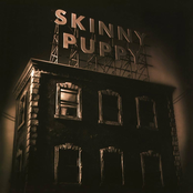 Skinny Puppy: The Process