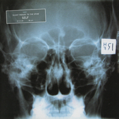 Silent Parade To The Spine