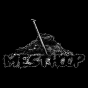 mesthoop