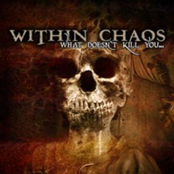 Within Chaos: What Doesn't Kill You...