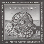 Behind Curtains by Brighter Death Now