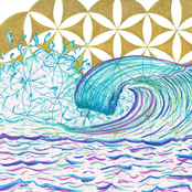 Life's a Wave
