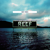 Love Feeder by Reef