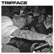 480 by Tripface