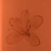 What do I have to look forward for